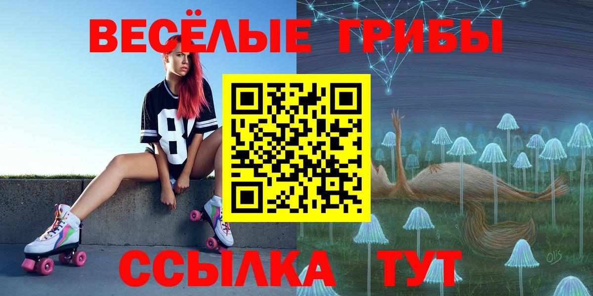 купить закладку  Вход с VPN  Хасавюрт  Псилоцибиновые грибы Psilocybine cubensis 