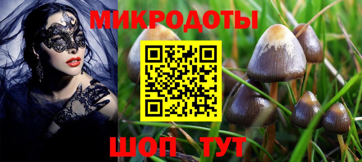 Псилоцибиновые грибы MAGIC MUSHROOMS Хасавюрт